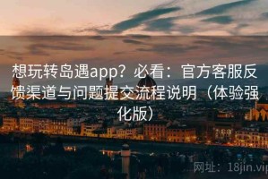 想玩转岛遇app？必看：官方客服反馈渠道与问题提交流程说明（体验强化版）