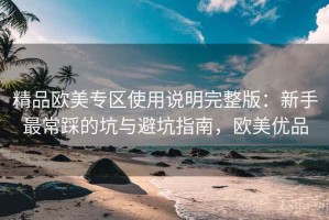 精品欧美专区使用说明完整版：新手最常踩的坑与避坑指南，欧美优品
