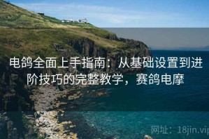 电鸽全面上手指南：从基础设置到进阶技巧的完整教学，赛鸽电摩