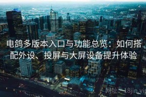 电鸽多版本入口与功能总览：如何搭配外设、投屏与大屏设备提升体验