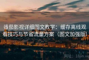 番茄影视详细图文教学：缓存离线观看技巧与节省流量方案（图文加强版）