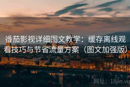 番茄影视详细图文教学：缓存离线观看技巧与节省流量方案（图文加强版）