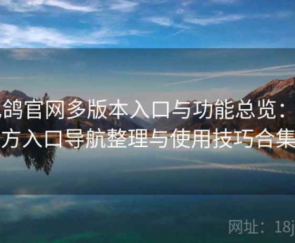 电鸽官网多版本入口与功能总览：官方入口导航整理与使用技巧合集