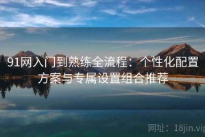 91网入门到熟练全流程：个性化配置方案与专属设置组合推荐