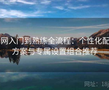 91网入门到熟练全流程：个性化配置方案与专属设置组合推荐