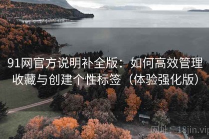 91网官方说明补全版：如何高效管理收藏与创建个性标签（体验强化版）