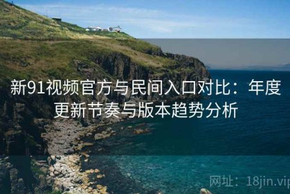 新91视频官方与民间入口对比：年度更新节奏与版本趋势分析