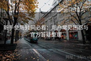 新手使用91网必看：用户常见困惑与官方答疑整理