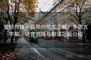 蜜桃传媒一篇带你彻底了解：多语言字幕、语音选择与翻译功能介绍