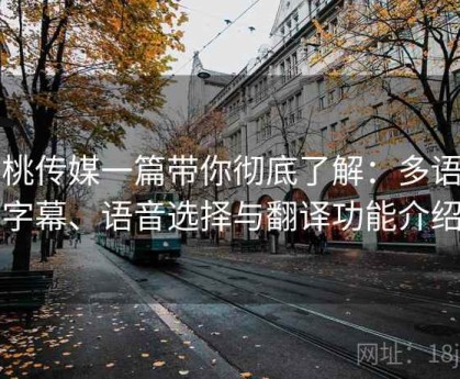 蜜桃传媒一篇带你彻底了解：多语言字幕、语音选择与翻译功能介绍