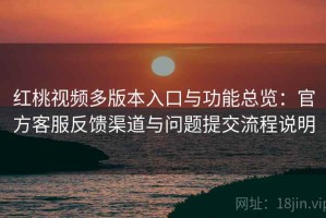 红桃视频多版本入口与功能总览：官方客服反馈渠道与问题提交流程说明
