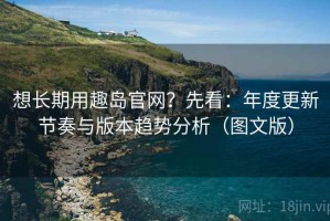 想长期用趣岛官网？先看：年度更新节奏与版本趋势分析（图文版）