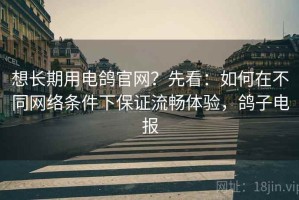 想长期用电鸽官网？先看：如何在不同网络条件下保证流畅体验，鸽子电报