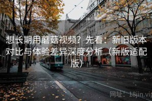 想长期用蘑菇视频？先看：新旧版本对比与体验差异深度分析（新版适配版）