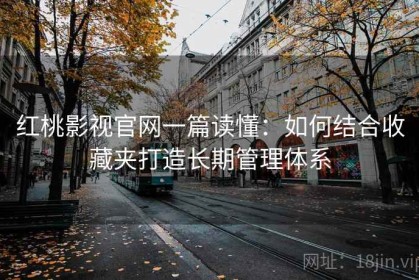 红桃影视官网一篇读懂：如何结合收藏夹打造长期管理体系