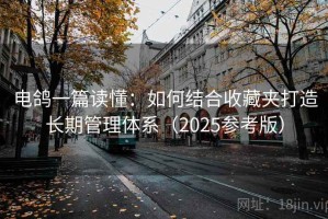 电鸽一篇读懂：如何结合收藏夹打造长期管理体系（2025参考版）