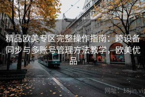 精品欧美专区完整操作指南：跨设备同步与多账号管理方法教学，欧美优品