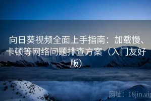 向日葵视频全面上手指南：加载慢、卡顿等网络问题排查方案（入门友好版）