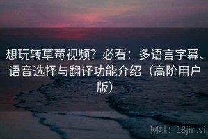 想玩转草莓视频？必看：多语言字幕、语音选择与翻译功能介绍（高阶用户版）