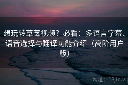 想玩转草莓视频？必看：多语言字幕、语音选择与翻译功能介绍（高阶用户版）