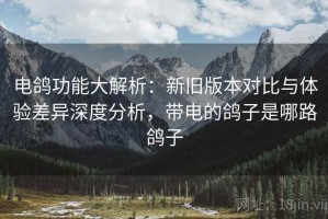 电鸽功能大解析：新旧版本对比与体验差异深度分析，带电的鸽子是哪路鸽子