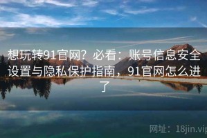 想玩转91官网？必看：账号信息安全设置与隐私保护指南，91官网怎么进了