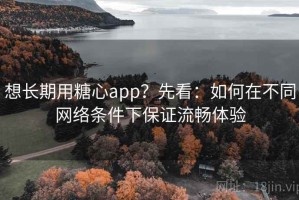 想长期用糖心app？先看：如何在不同网络条件下保证流畅体验