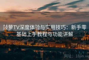 菠萝TV深度体验与实用技巧：新手零基础上手教程与功能讲解