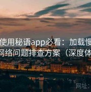 新手使用秘语app必看：加载慢、卡顿等网络问题排查方案（深度体验版）