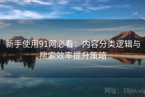 新手使用91网必看：内容分类逻辑与搜索效率提升策略