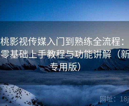 樱桃影视传媒入门到熟练全流程：新手零基础上手教程与功能讲解（新手专用版）