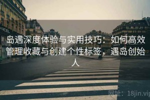 岛遇深度体验与实用技巧：如何高效管理收藏与创建个性标签，遇岛创始人