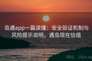 岛遇app一篇读懂：安全验证机制与风险提示说明，遇岛现在估值