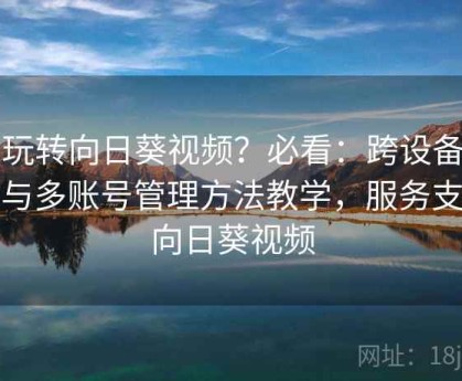 想玩转向日葵视频？必看：跨设备同步与多账号管理方法教学，服务支持向日葵视频