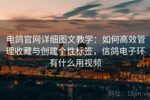 电鸽官网详细图文教学：如何高效管理收藏与创建个性标签，信鸽电子环有什么用视频