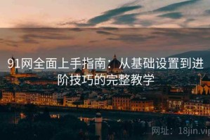 91网全面上手指南：从基础设置到进阶技巧的完整教学