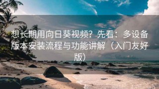 想长期用向日葵视频？先看：多设备版本安装流程与功能讲解（入门友好版）