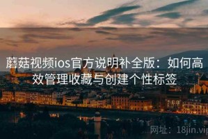 蘑菇视频ios官方说明补全版：如何高效管理收藏与创建个性标签