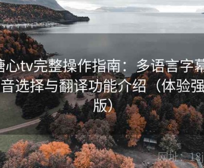 糖心tv完整操作指南：多语言字幕、语音选择与翻译功能介绍（体验强化版）