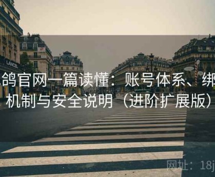 电鸽官网一篇读懂：账号体系、绑定机制与安全说明（进阶扩展版）