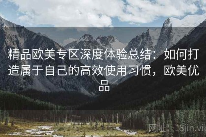 精品欧美专区深度体验总结：如何打造属于自己的高效使用习惯，欧美优品