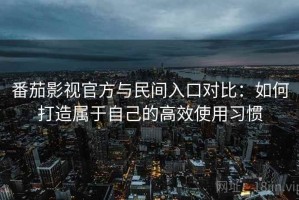 番茄影视官方与民间入口对比：如何打造属于自己的高效使用习惯