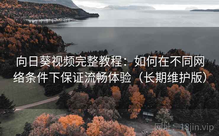 向日葵视频完整教程：如何在不同网络条件下保证流畅体验（长期维护版）