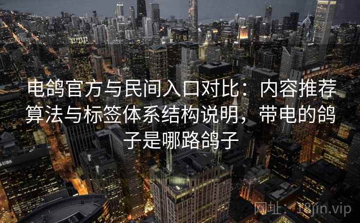 电鸽官方与民间入口对比：内容推荐算法与标签体系结构说明，带电的鸽子是哪路鸽子