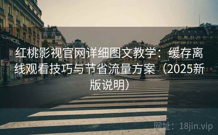 红桃影视官网详细图文教学：缓存离线观看技巧与节省流量方案（2025新版说明）
