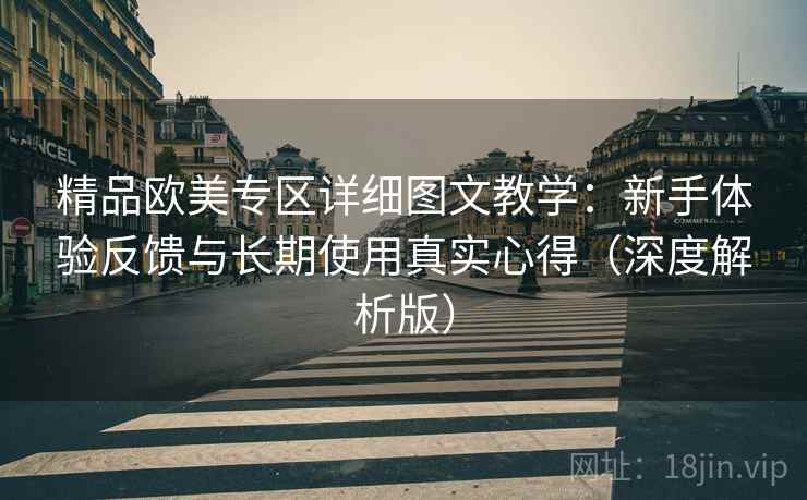 精品欧美专区详细图文教学：新手体验反馈与长期使用真实心得（深度解析版）