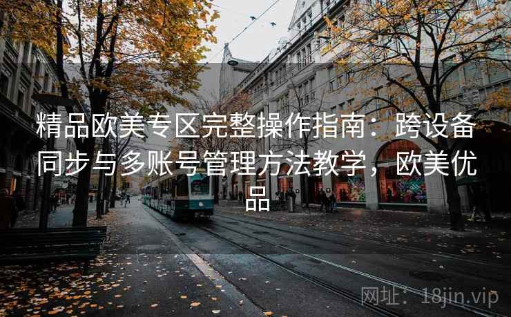 精品欧美专区完整操作指南：跨设备同步与多账号管理方法教学，欧美优品