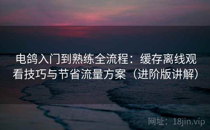 电鸽入门到熟练全流程：缓存离线观看技巧与节省流量方案（进阶版讲解）