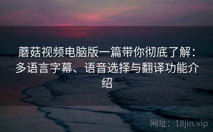 蘑菇视频电脑版一篇带你彻底了解：多语言字幕、语音选择与翻译功能介绍