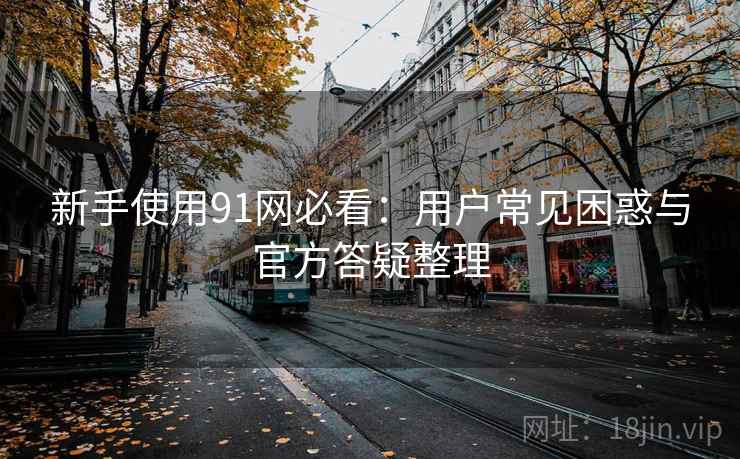新手使用91网必看：用户常见困惑与官方答疑整理
